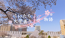 くにたち大学通り桜物語